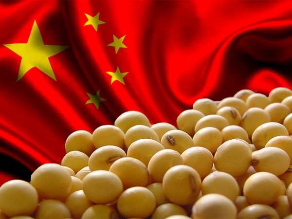 Importações de soja da China crescem 8% em julho