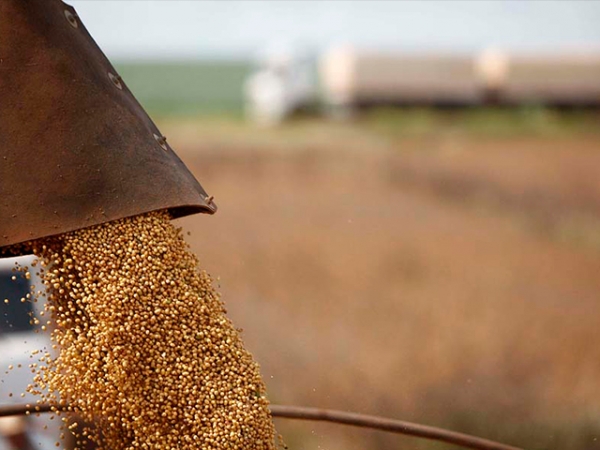 Nova estimativa prevê supersafra de 234,3 milhões de toneladas de grãos