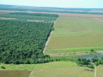 Maggi defenderá compensação à agricultura por cuidados ambientais