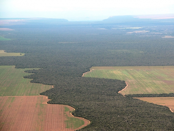 Área de Cerrado conservado pelos produtores rurais do oeste da Bahia é maior que a área produtiva