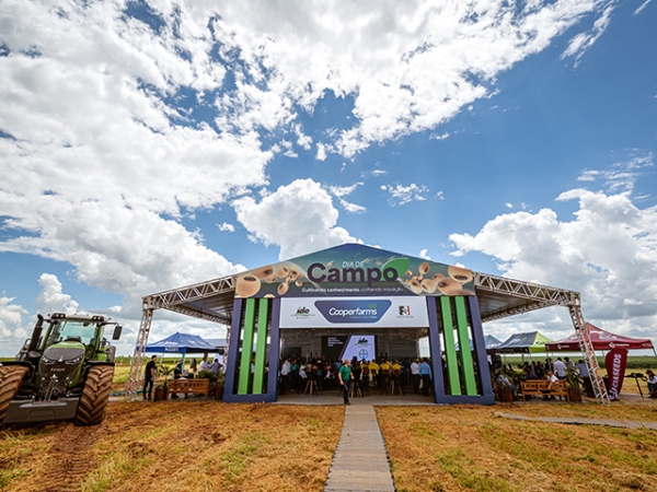 Dia de Campo atrai grande público e destaca inovação em pesquisa com 50 cultivares de soja