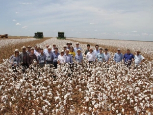 Compradores asiáticos conhecem produção de algodão da Bahia
