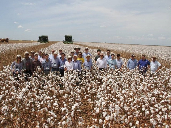 Compradores asiáticos conhecem produção de algodão da Bahia