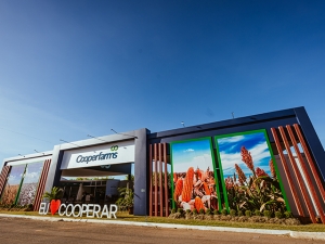 Stand Edição 2024