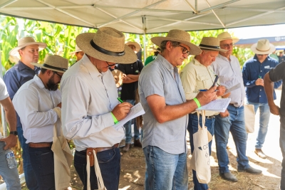 Cooperfarms impulsiona resultados no campo ao fortalecer negócios e apoiar o produtor em todas as etapas