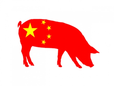 Criadores de suínos na China buscam recuperação, apesar do risco da Febre Suína Africana